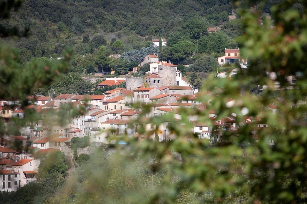 فندق La Pinede Amélie-les-Bains-Palalda الغرفة الصورة